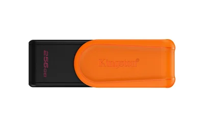 MEMORY DRIVE FLASH USB3.2/256GB DTXS/256GB KINGSTON